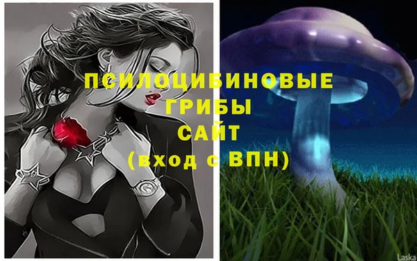 первитин Арсеньев